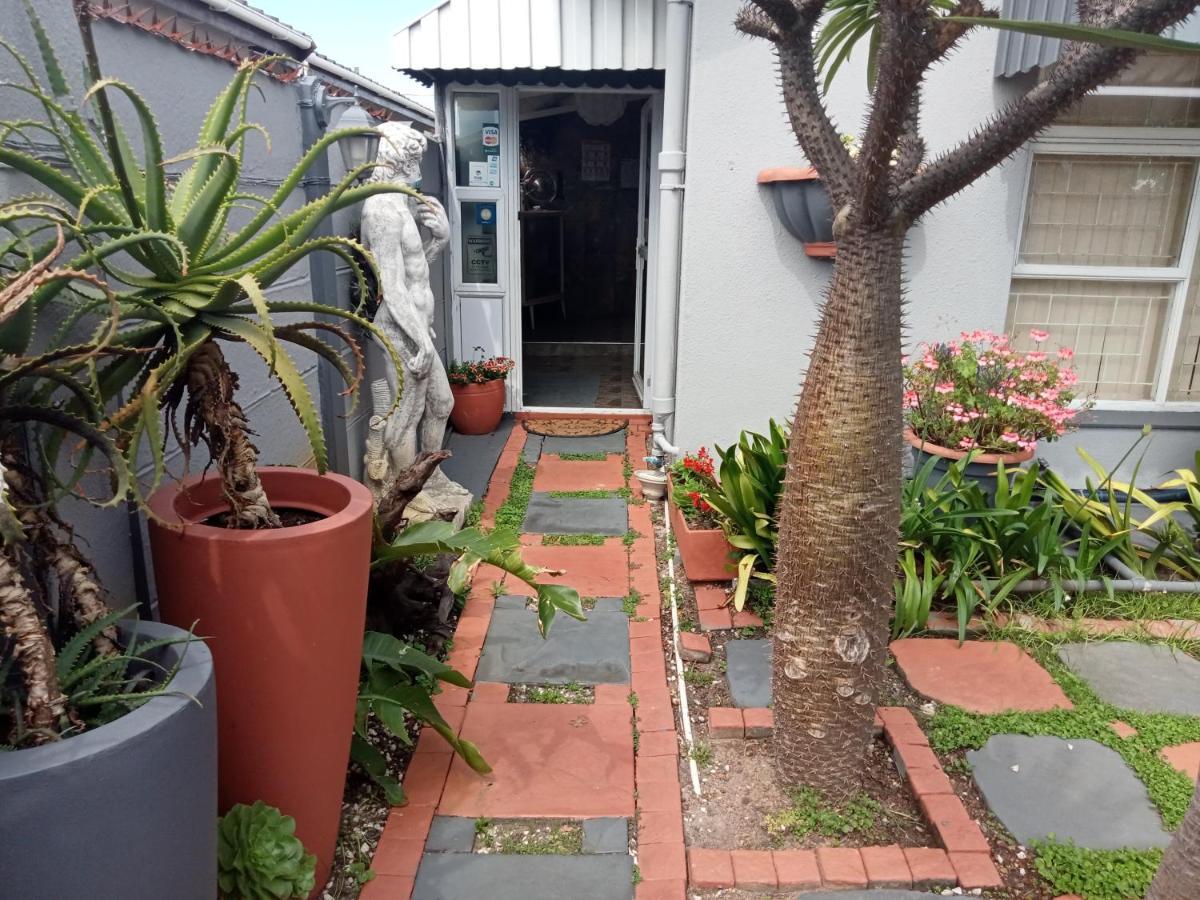 Mitchell'S Guesthouse パロー エクステリア 写真