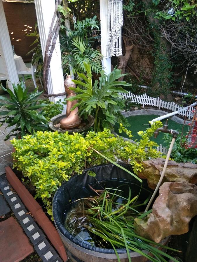 Mitchell'S Guesthouse パロー エクステリア 写真